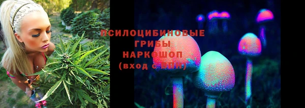 марки nbome Бородино