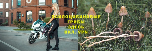 эйфоретик Бронницы