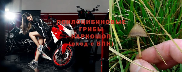марки nbome Бородино